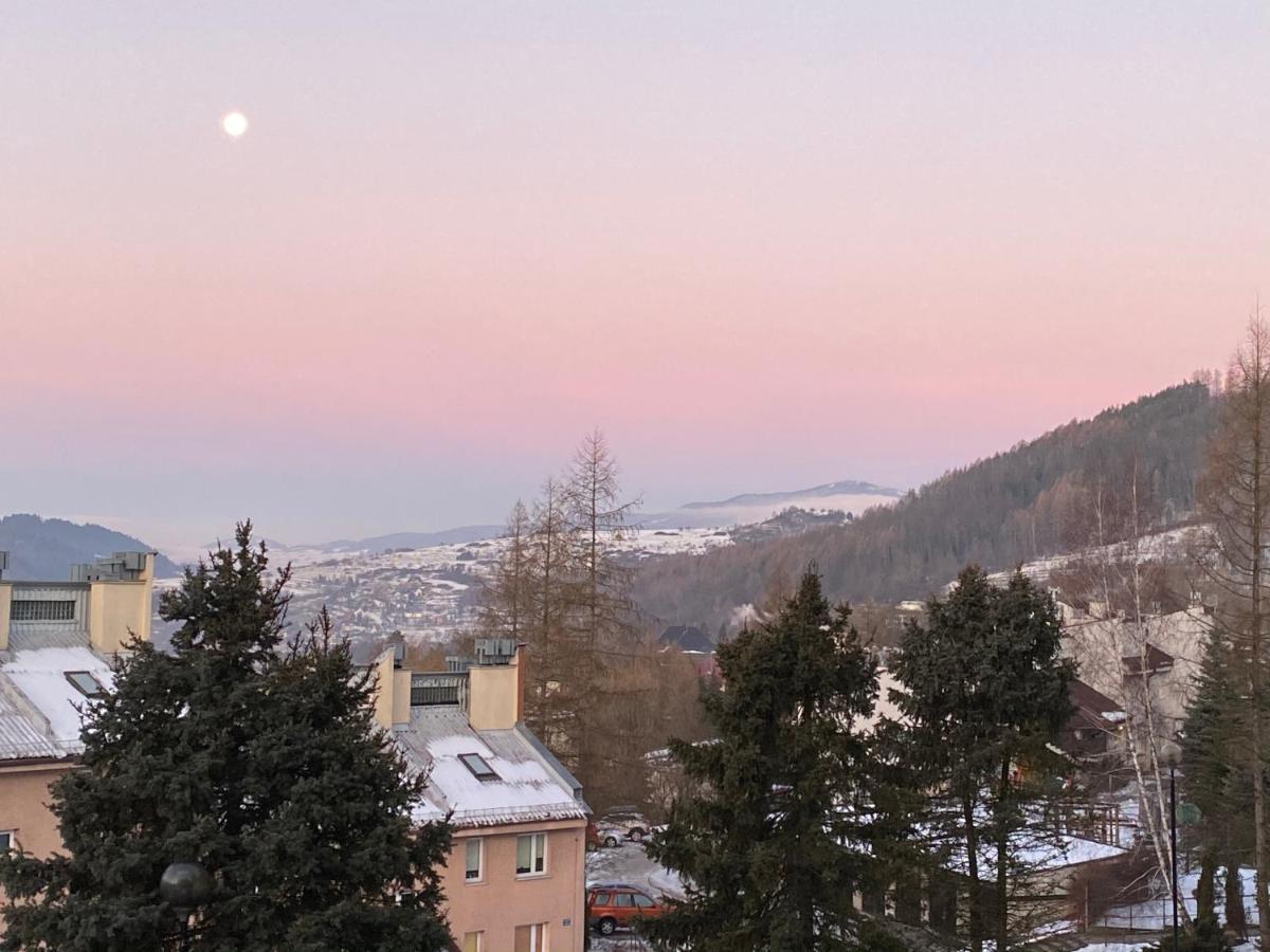 Apartament Dzika Paproc Szczawnica Bagian luar foto