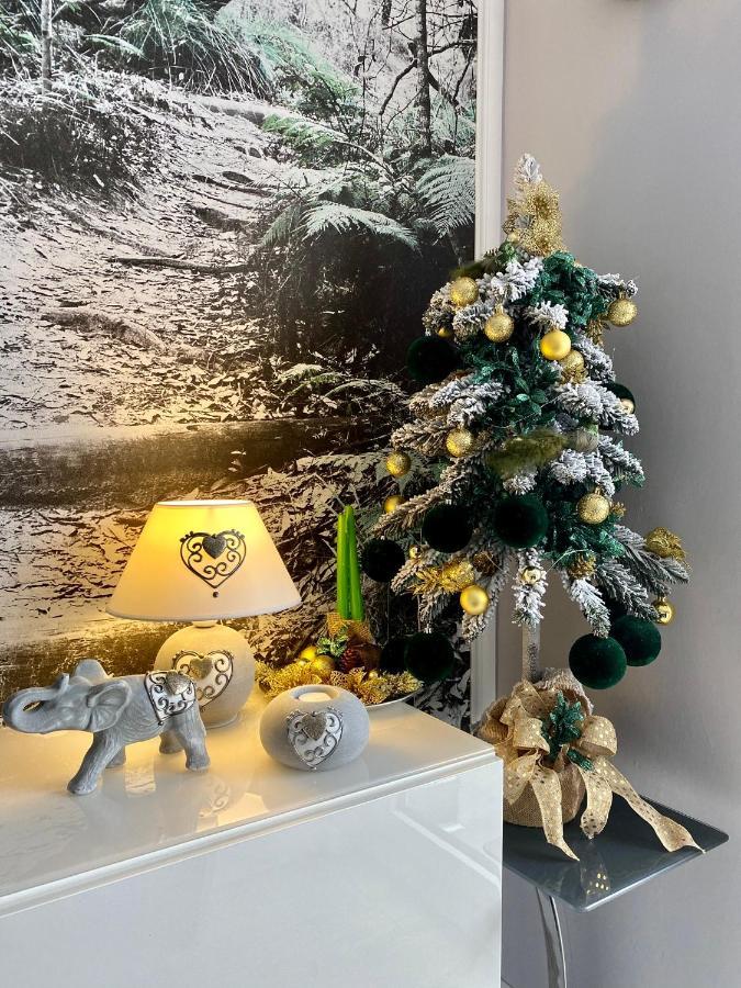 Apartament Dzika Paproc Szczawnica Bagian luar foto
