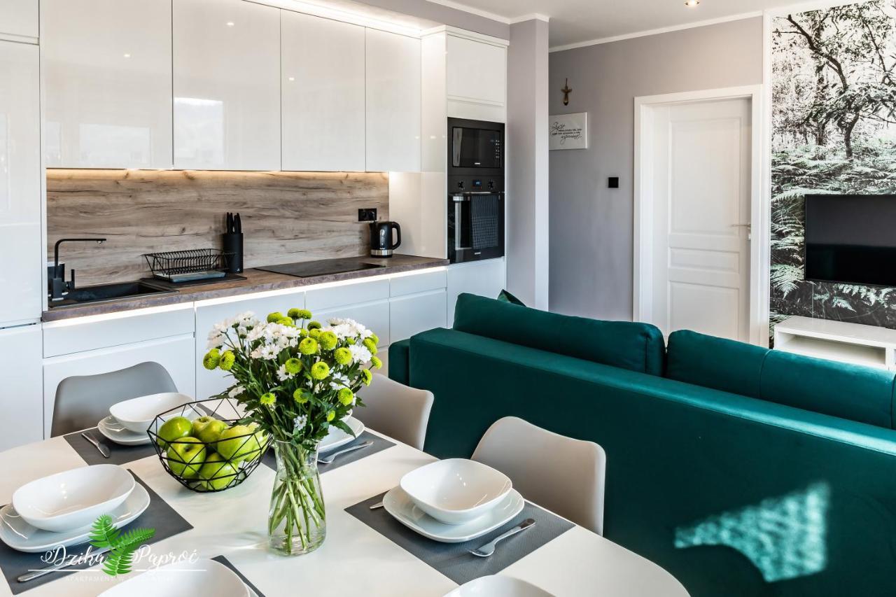 Apartament Dzika Paproc Szczawnica Bagian luar foto