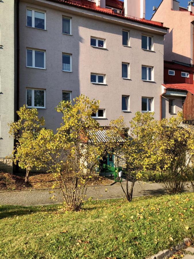 Apartament Dzika Paproc Szczawnica Bagian luar foto